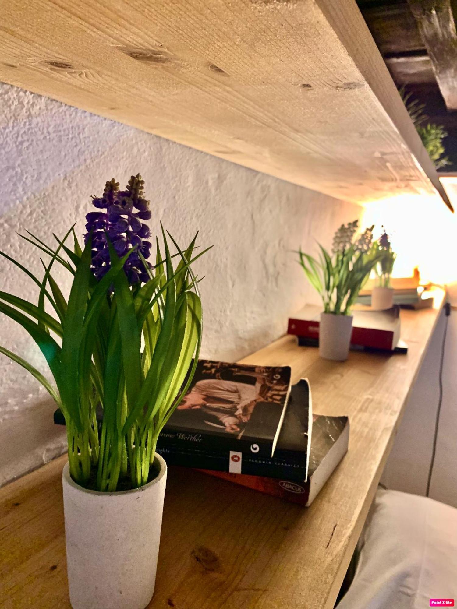 La Bella Vita Lägenhet Florens Exteriör bild